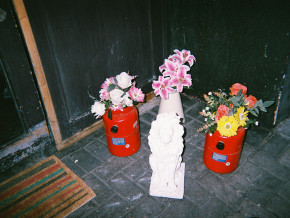 Flower Arrangement_Shane
