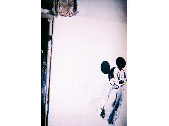 Micky Mouse_Shane